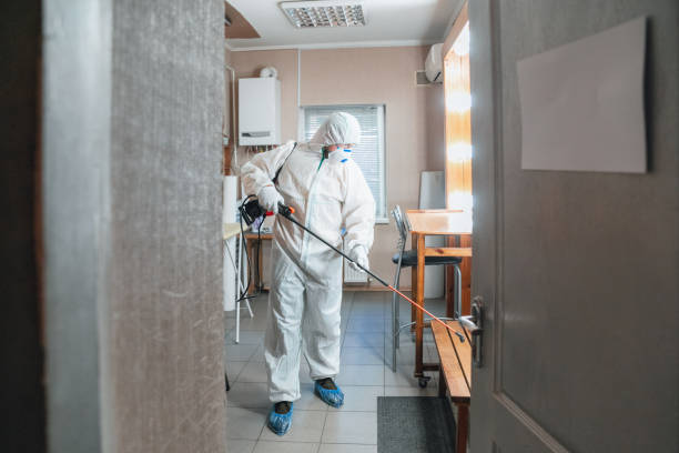 Best Biohazard Mold Removal  in North Logan, UT