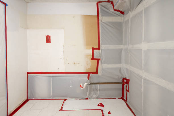 Best Commercial Mold Inspection  in North Logan, UT