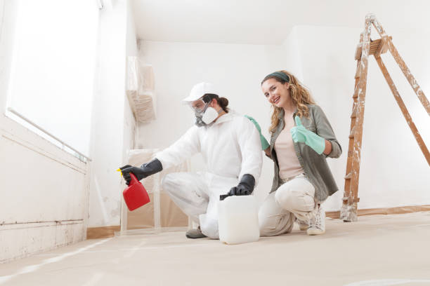 Best Indoor Air Quality Assessment  in North Logan, UT