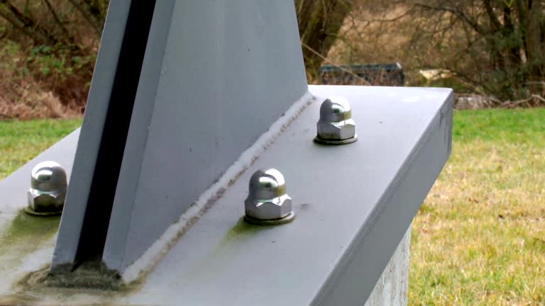 Best Forensic Mold Investigation  in North Logan, UT