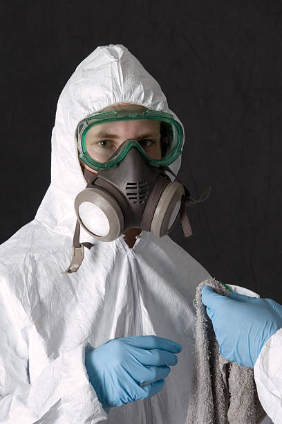 Best Mold Remediation for Healthcare Facilities  in North Logan, UT